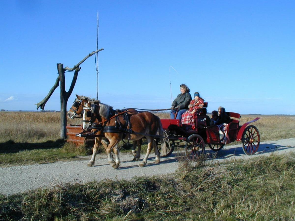 Bar Pension Lang Sankt Andra am Zicksee Luaran gambar